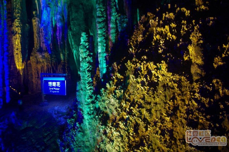 中赢国信资产管理（山东）有限公司怎样对企业项目资产评定？