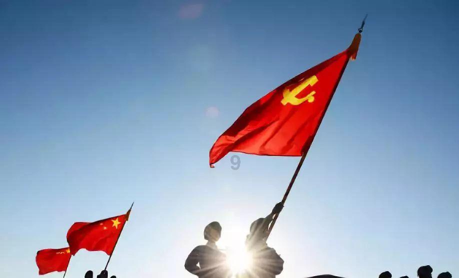 拉布拉多如何训练